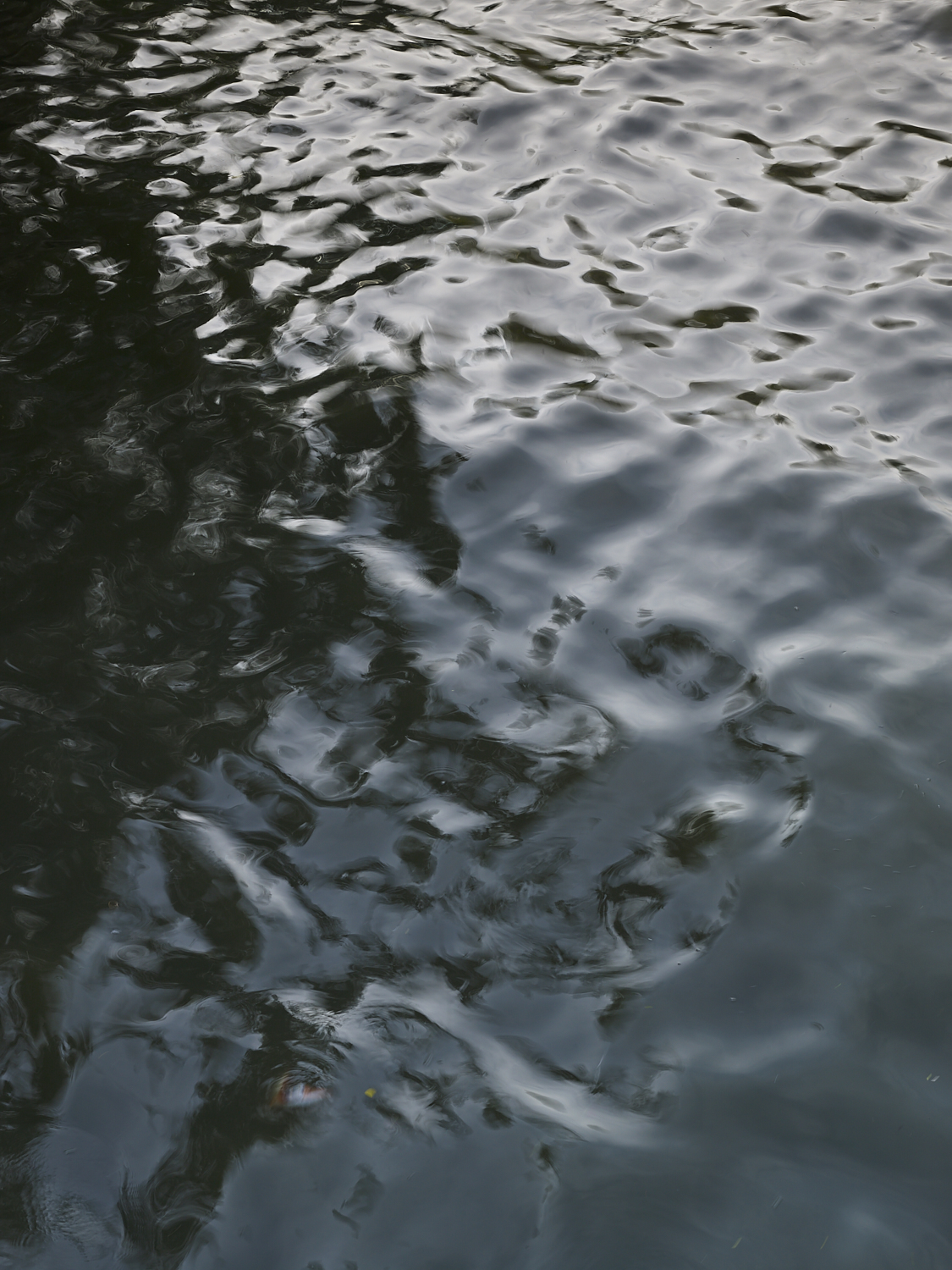 liquid bangkok 15, Bangkok, 2016